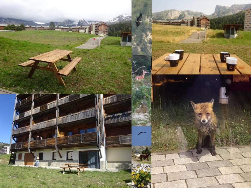 Appartement 8-10 Personnes Superdevoluy Hautes Alpes Rez De Chaussee Vue Panoramique 3 Chambres Saint-Étienne-en-Dévoluy Eksteriør bilde